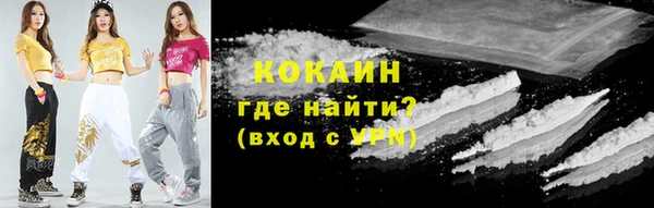 сатива Арсеньев