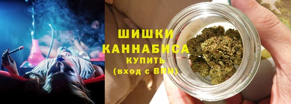 сатива Арсеньев