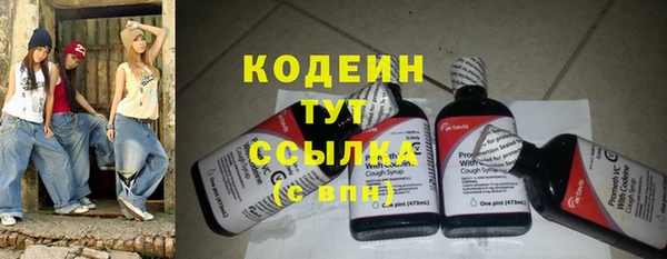 прущие крисы Пересвет