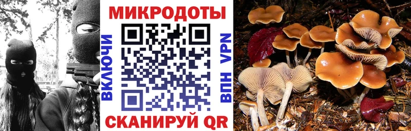 Галлюциногенные грибы мухоморы закладка Судак